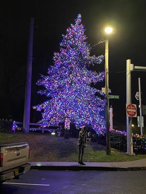 Ardsley Christmas Tree Lighting 2022