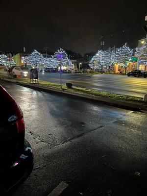 Ardsley Christmas Tree Lighting 2022
