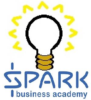 young entrepreneurs