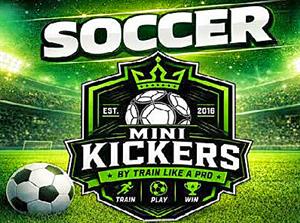 mini kickers soccer